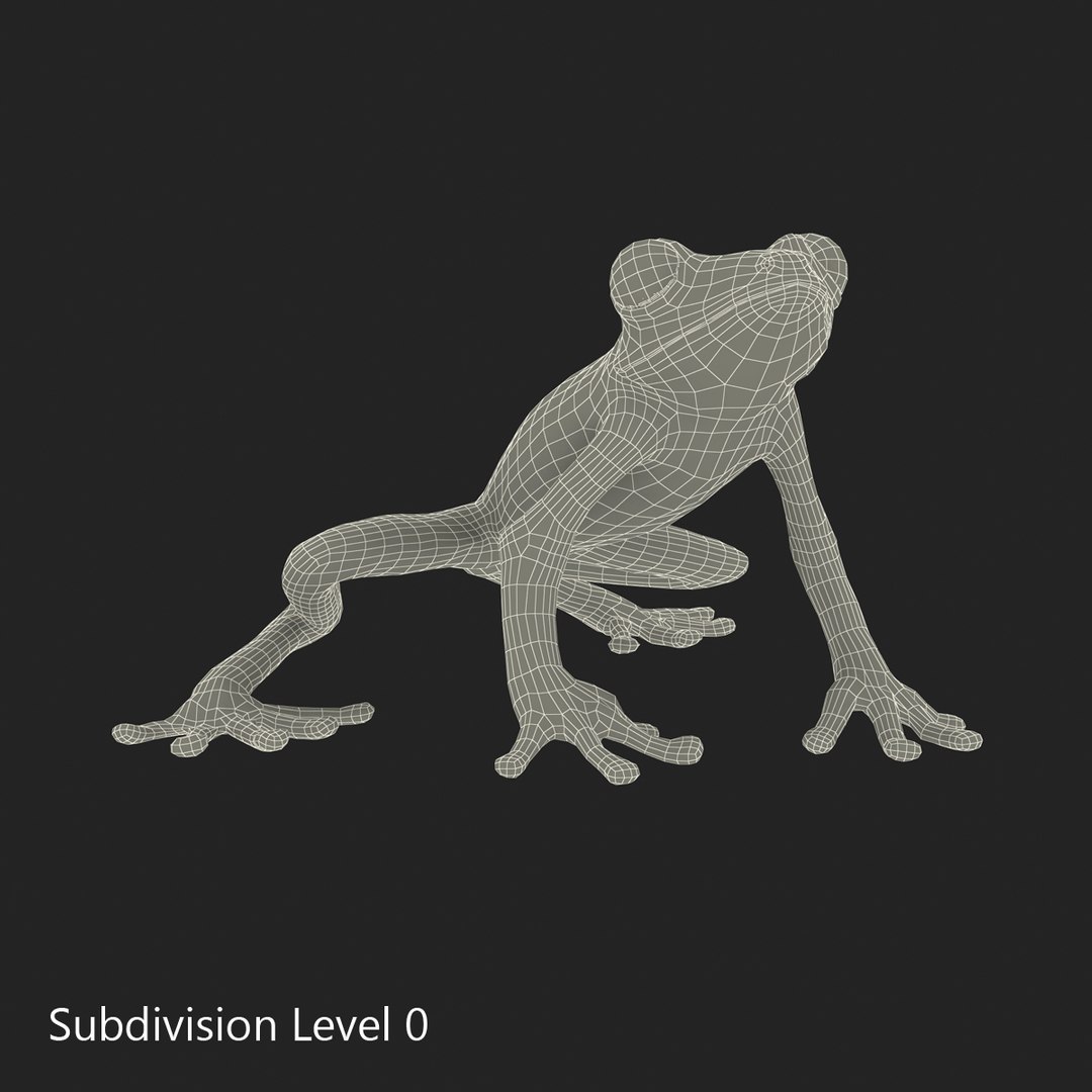 Tree Frog Pose 3 3d Max