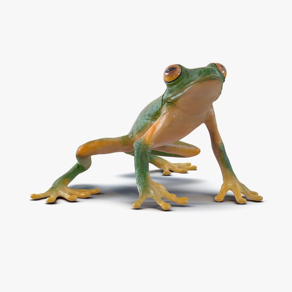 tree frog pose 3 3d max