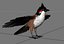 Red Whisker Bird Maya Rig