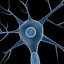 Neuron