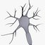 Neuron