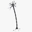 Neuron