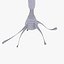 Neuron
