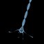 Neuron