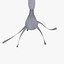 Neuron