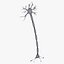 Neuron