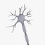 Neuron