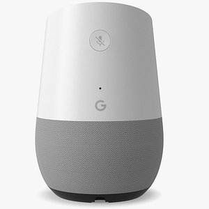 google home