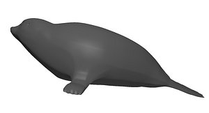 seal sea 3d model