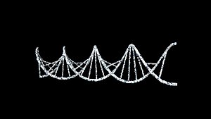 dna 3D model