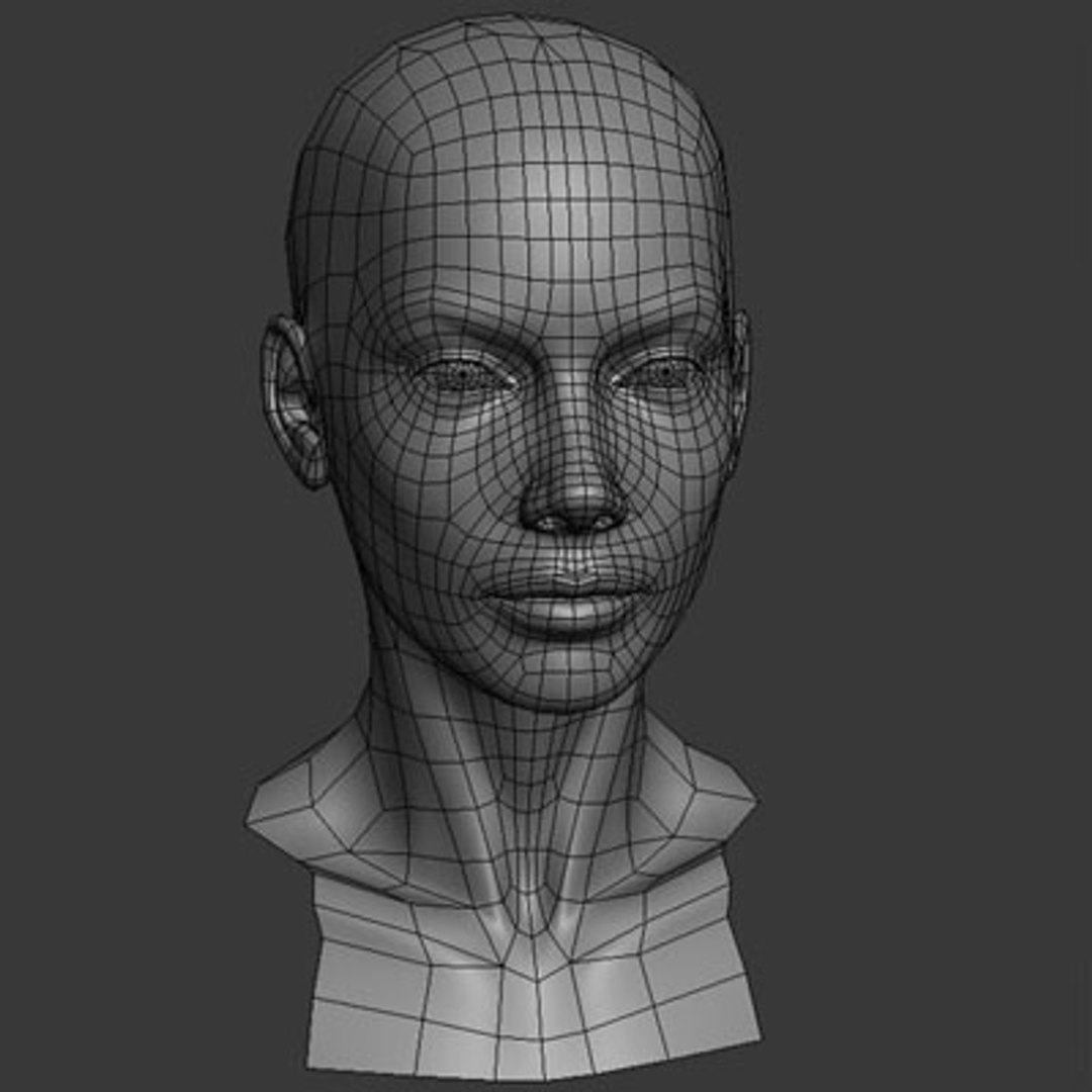 3d Female Head