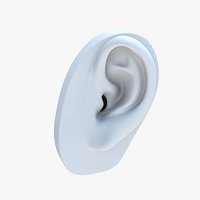 Ear Model