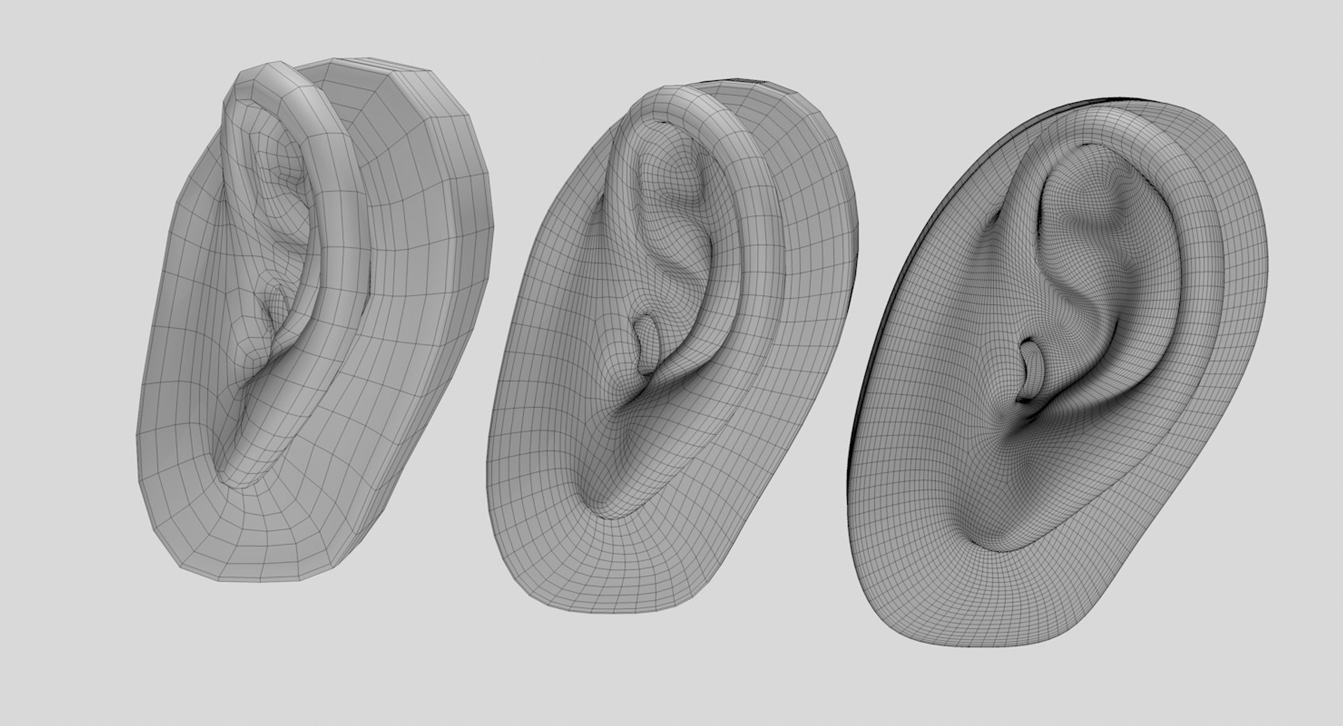 ear printed 3D model https://p.turbosquid.com/ts-thumb/uz/w3ag82/VI77OEiP/earuvimage_4/jpg/1506543299/1920x1080/fit_q87/8939495b27b7bbcfea614ba2d1e1384b29be4755/earuvimage_4.jpg
