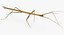 Walkingstick Walking 01