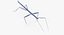 Walkingstick Walking 01
