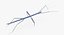 Walkingstick Walking 01