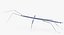 Walkingstick Walking 01