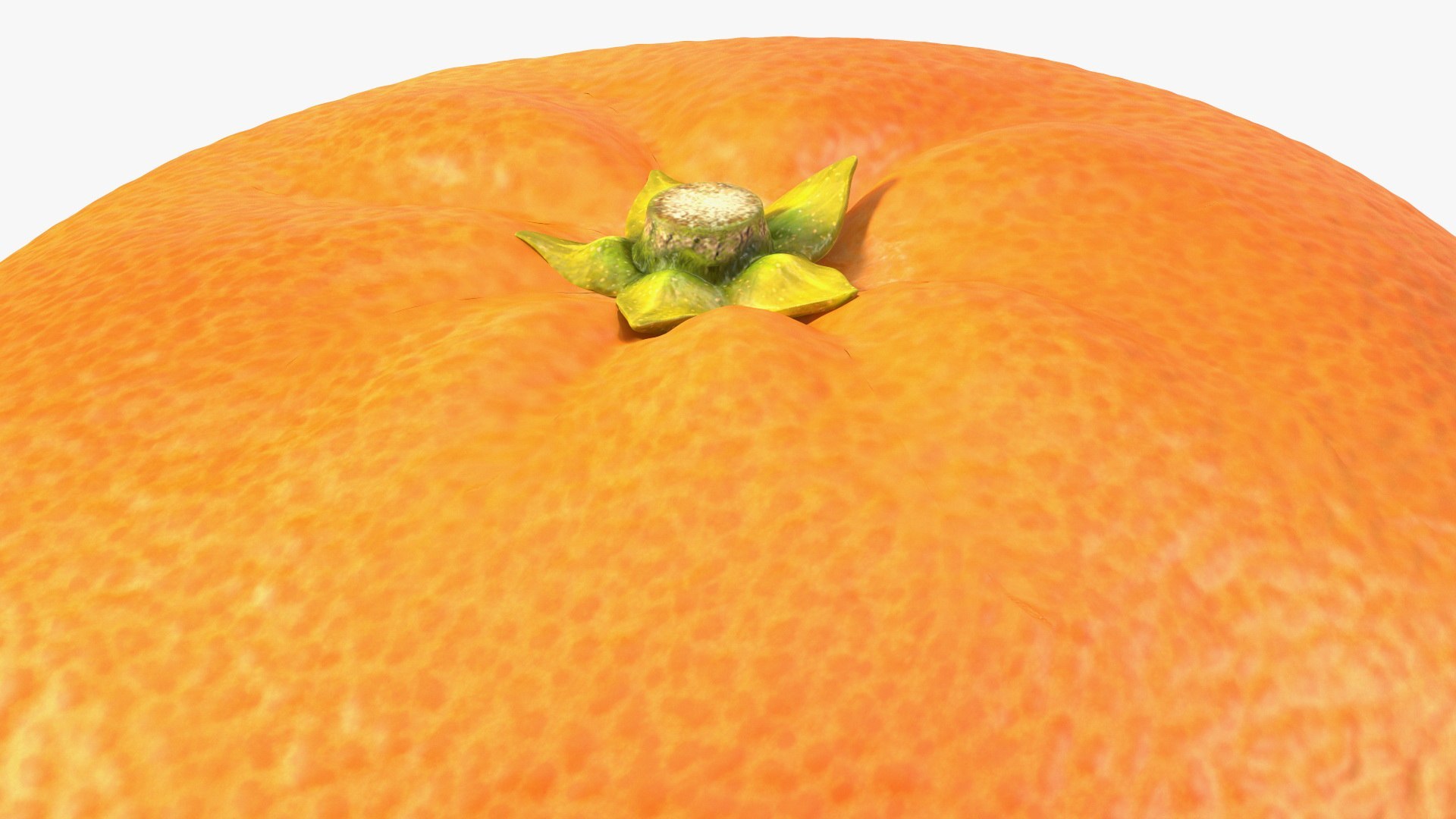 3D Citrus Fruits Collection 4 https://p.turbosquid.com/ts-thumb/v0/PdmHqV/C1/citrus_fruits_collection_4_032/jpg/1771409178/1920x1080/fit_q87/174c1fb920bc3bdb149fabae9cbf03d131783bca/citrus_fruits_collection_4_032.jpg