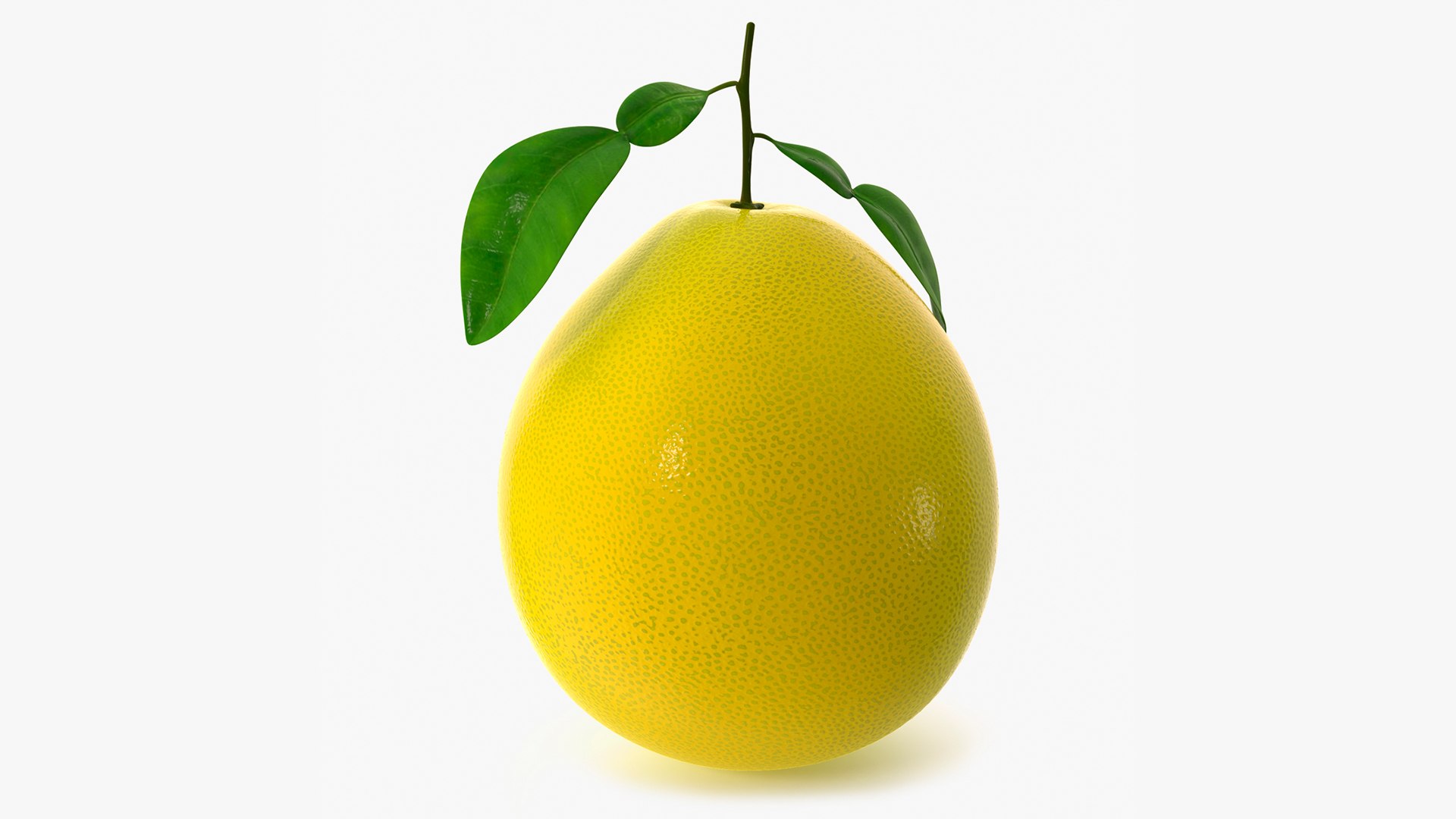 3D Citrus Fruits Collection 4 https://p.turbosquid.com/ts-thumb/v0/PdmHqV/EQ/citrus_fruits_collection_4_017/jpg/1771409175/1920x1080/fit_q87/a3ab7a8b663e88e262adf87ec2f374861730f8da/citrus_fruits_collection_4_017.jpg