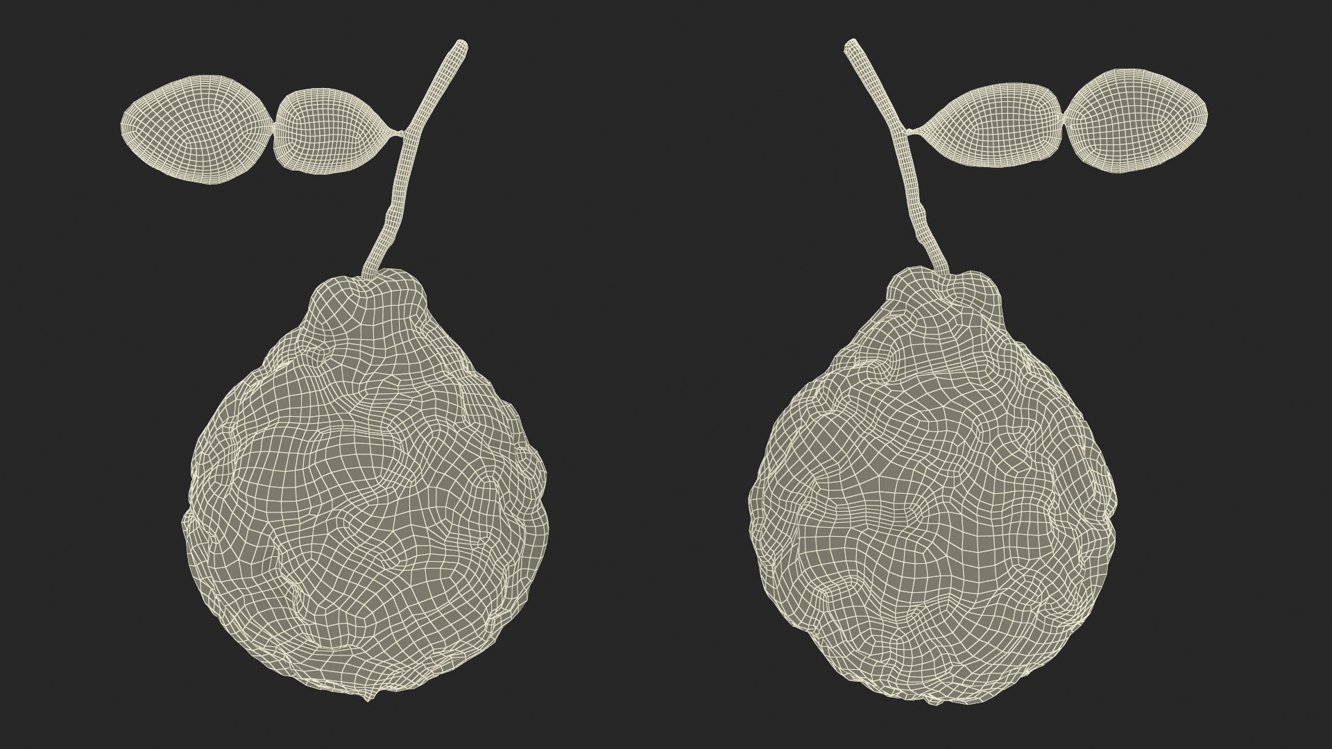 3D Citrus Fruits Collection 4 https://p.turbosquid.com/ts-thumb/v0/PdmHqV/Sg/citrus_fruits_collection_4_042/jpg/1771409182/1920x1080/fit_q87/87930a3115d506a0b3f8cfab5bdc9ec1fbe58ee8/citrus_fruits_collection_4_042.jpg