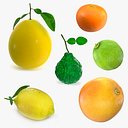 Citrus Fruits Collection 4