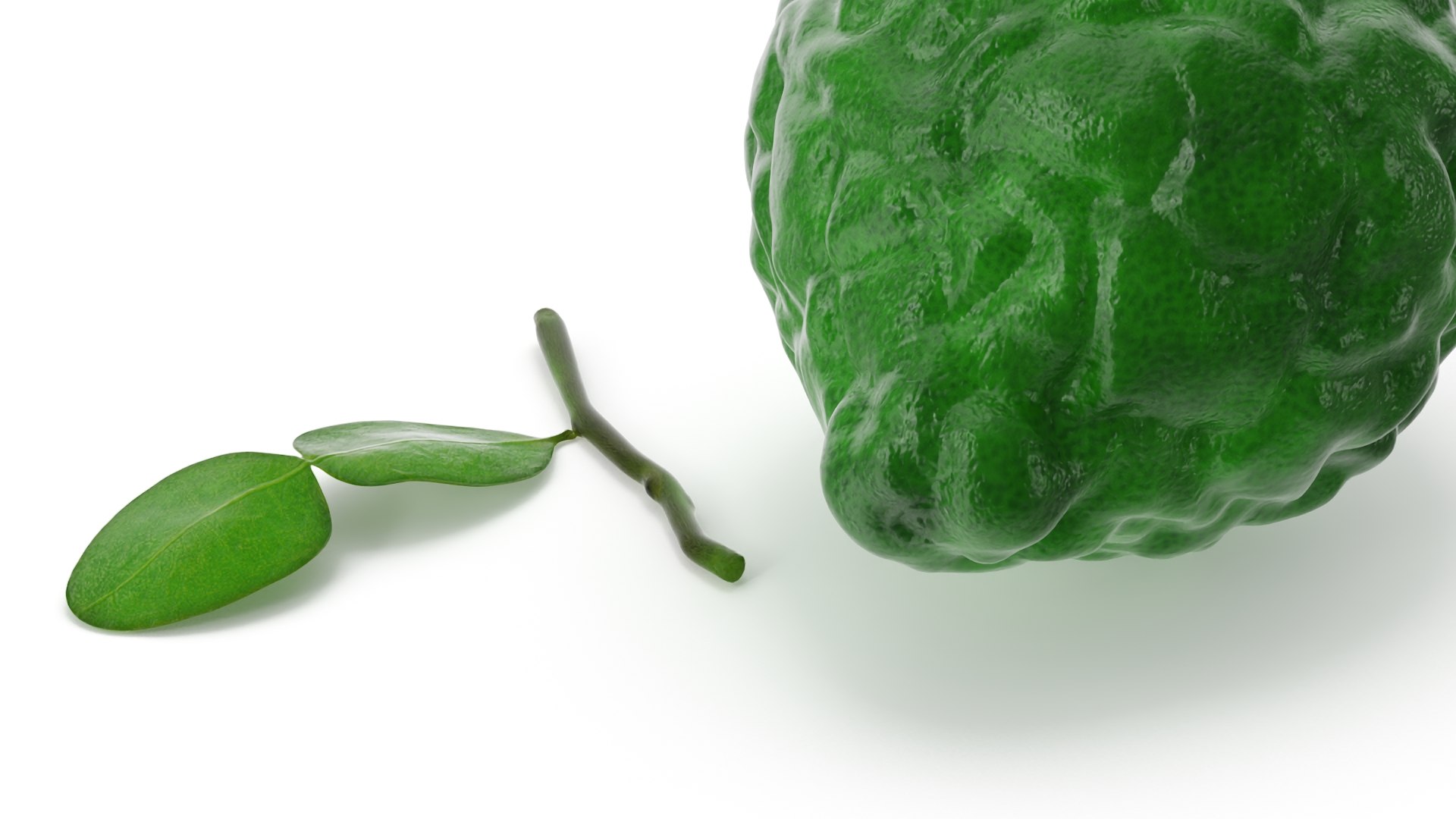 3D Citrus Fruits Collection 4 https://p.turbosquid.com/ts-thumb/v0/PdmHqV/dD/citrus_fruits_collection_4_011/jpg/1771409174/1920x1080/fit_q87/7500785e01bce00b6affc9f7e464dec96c201063/citrus_fruits_collection_4_011.jpg