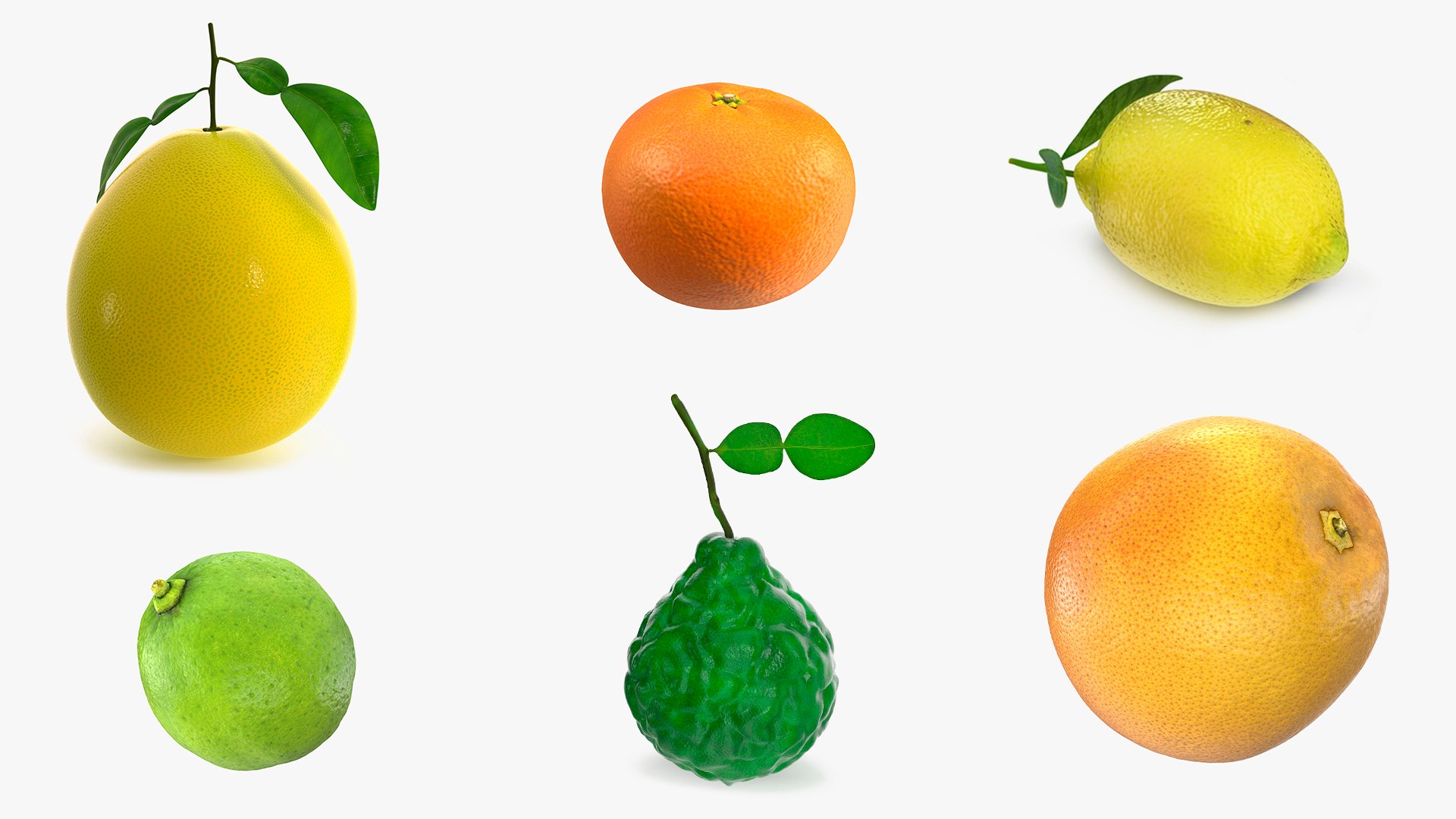 3D Citrus Fruits Collection 4 https://p.turbosquid.com/ts-thumb/v0/PdmHqV/mv/citrus_fruits_collection_4_001/jpg/1771409171/1920x1080/fit_q87/55fd5fe6ec8806ed8e35b4668e6cd87973d36099/citrus_fruits_collection_4_001.jpg