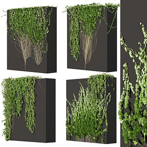 Collection plant vol 660 Corona 7 max 2015 3D model