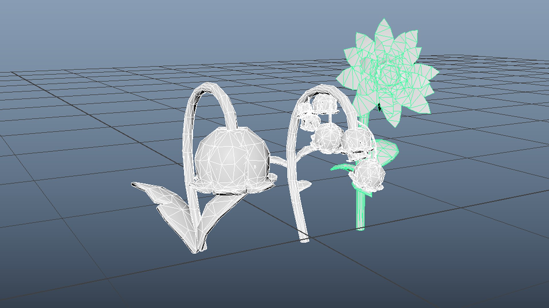 3D Flowers https://p.turbosquid.com/ts-thumb/v0/j1L5ZX/pW/wireframe/png/1777411214/1920x1080/fit_q87/4a35867c444aa91d785a45d62b78409f6c16732a/wireframe.jpg