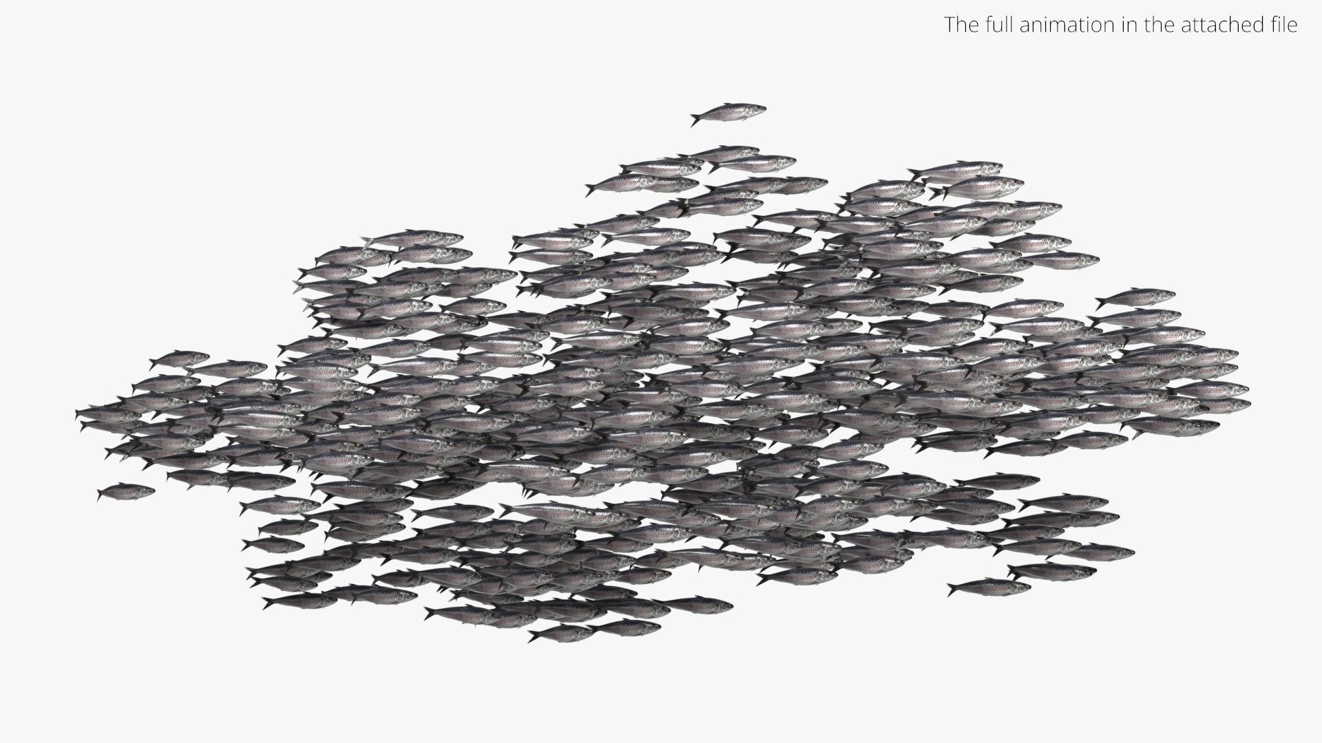 3D Marine Sardine School Animated Rigged For Blender https://p.turbosquid.com/ts-thumb/v0/sfad2P/mh/marine_sardine_schoolanimated_rigged_for_blender_361/jpg/1789072840/1920x1080/turn_fit_q99/00726a9ab74787dddab0a48ea8ac5a83fad75e24/marine_sardine_schoolanimated_rigged_for_blender_361-1.jpg