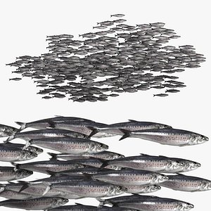 3D Marine Sardine School Animated Rigged For Blender
