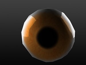Eye