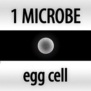 3d microbes bacteria cells