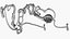 Nephron Glomerulus