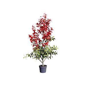Realistic Photinia Potted Plant