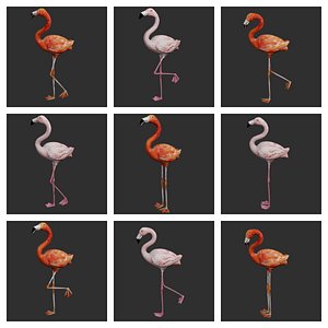 Flamingo Bird Collection Low Poly Game Ready