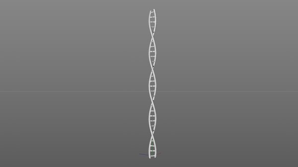 3d dna strand model