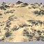 Desert MTH077