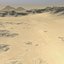 Desert MTH077