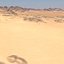 Desert MTH077