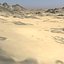 Desert MTH077