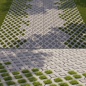 Grass  Eco parking 2