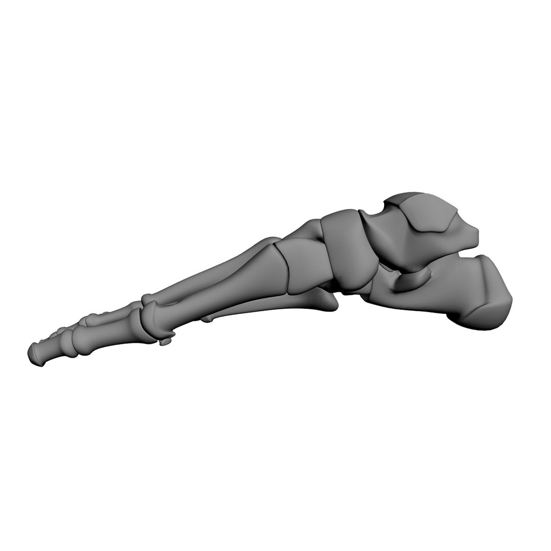 lower limb 3d w3d https://p.turbosquid.com/ts-thumb/v1/QzMIfh/Hh424HaW/footmedialhiresclay/jpg/1298235919/1920x1080/fit_q87/159d25dada9fe3bf2f88cf3799132f6cd20b2f1c/footmedialhiresclay.jpg