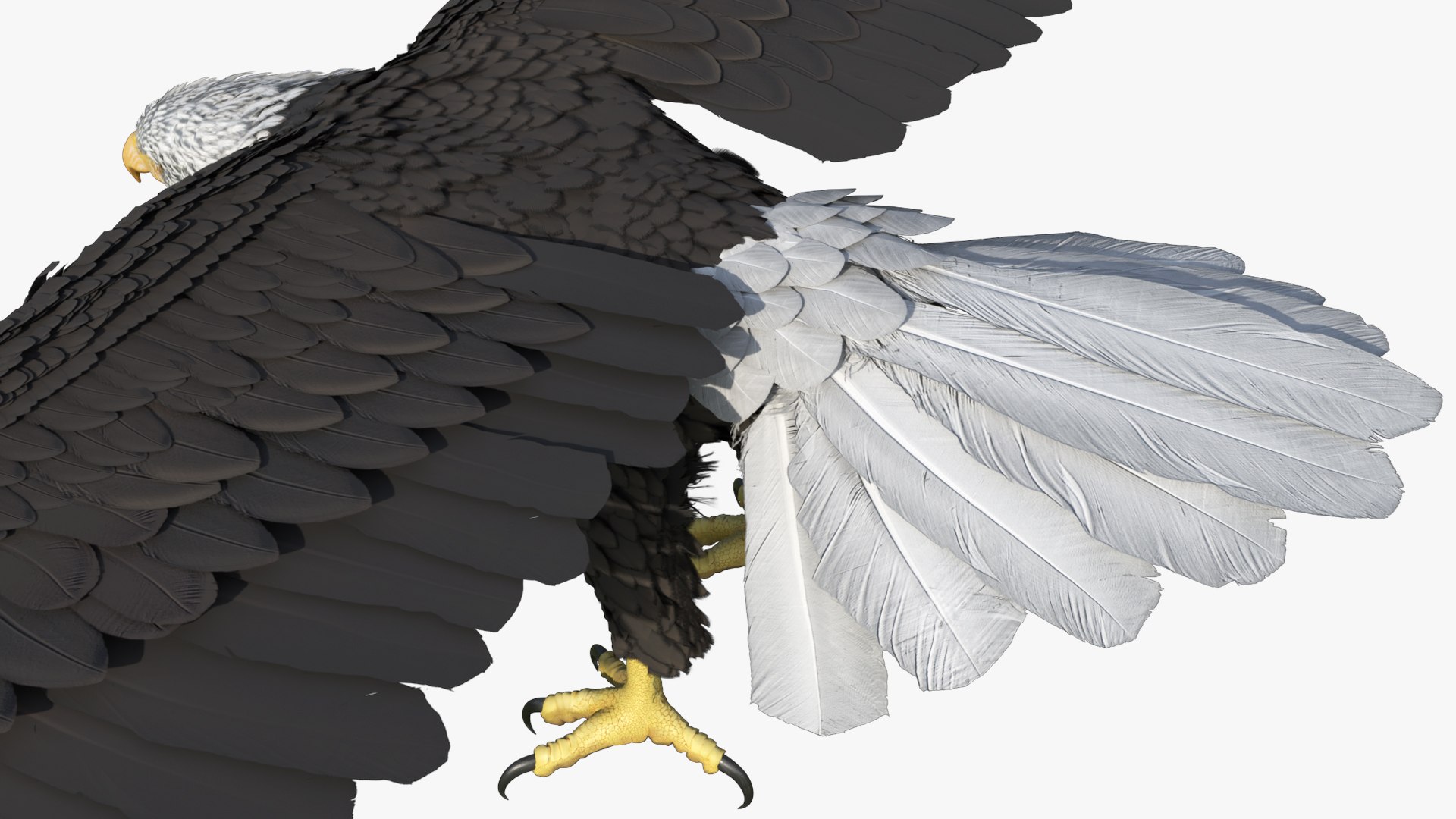 3D model Predatory Bald Eagle For Blender https://p.turbosquid.com/ts-thumb/v1/tAckUQ/9I/predatory_bald_eagle_for_blender_007/jpg/1773869529/1920x1080/fit_q87/90132f6d7c029c27da26b24445d72abfe4c1f3f5/predatory_bald_eagle_for_blender_007.jpg