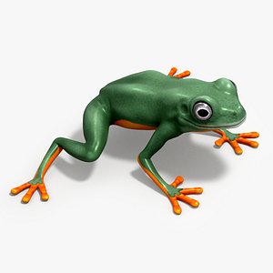 Gold  Green Tree Frog 3D