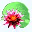 Lotus metal Swamp lily