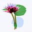 Lotus metal Swamp lily