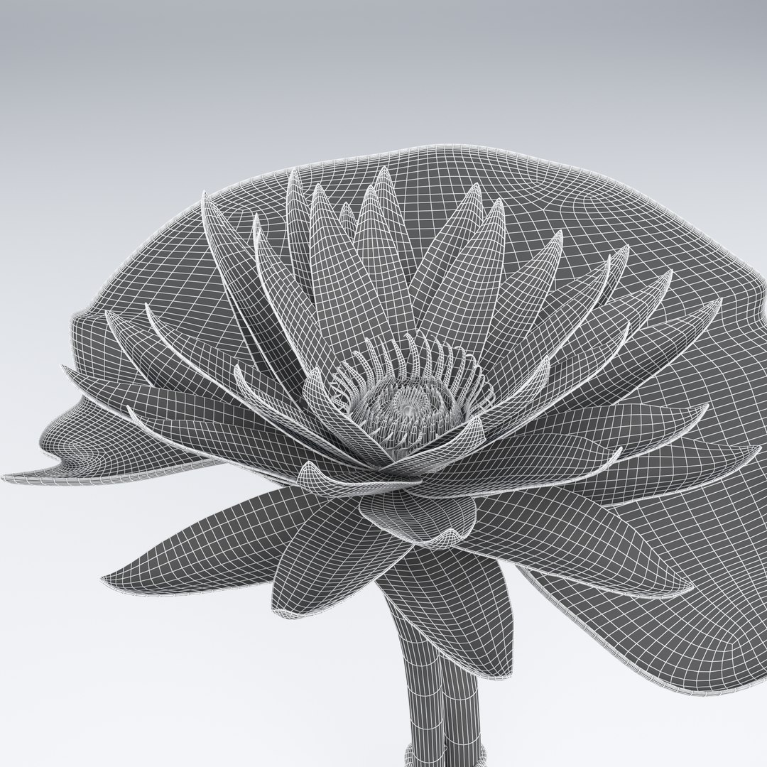 Lotus metal Swamp lily 3D https://p.turbosquid.com/ts-thumb/v1/zsLDjt/eD/10/png/1618755613/1920x1080/fit_q87/2bd7aae3ceb601c0c52e77e75fb8e6ee2e0f08e3/10.jpg