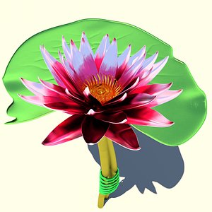 Lotus metal Swamp lily 3D