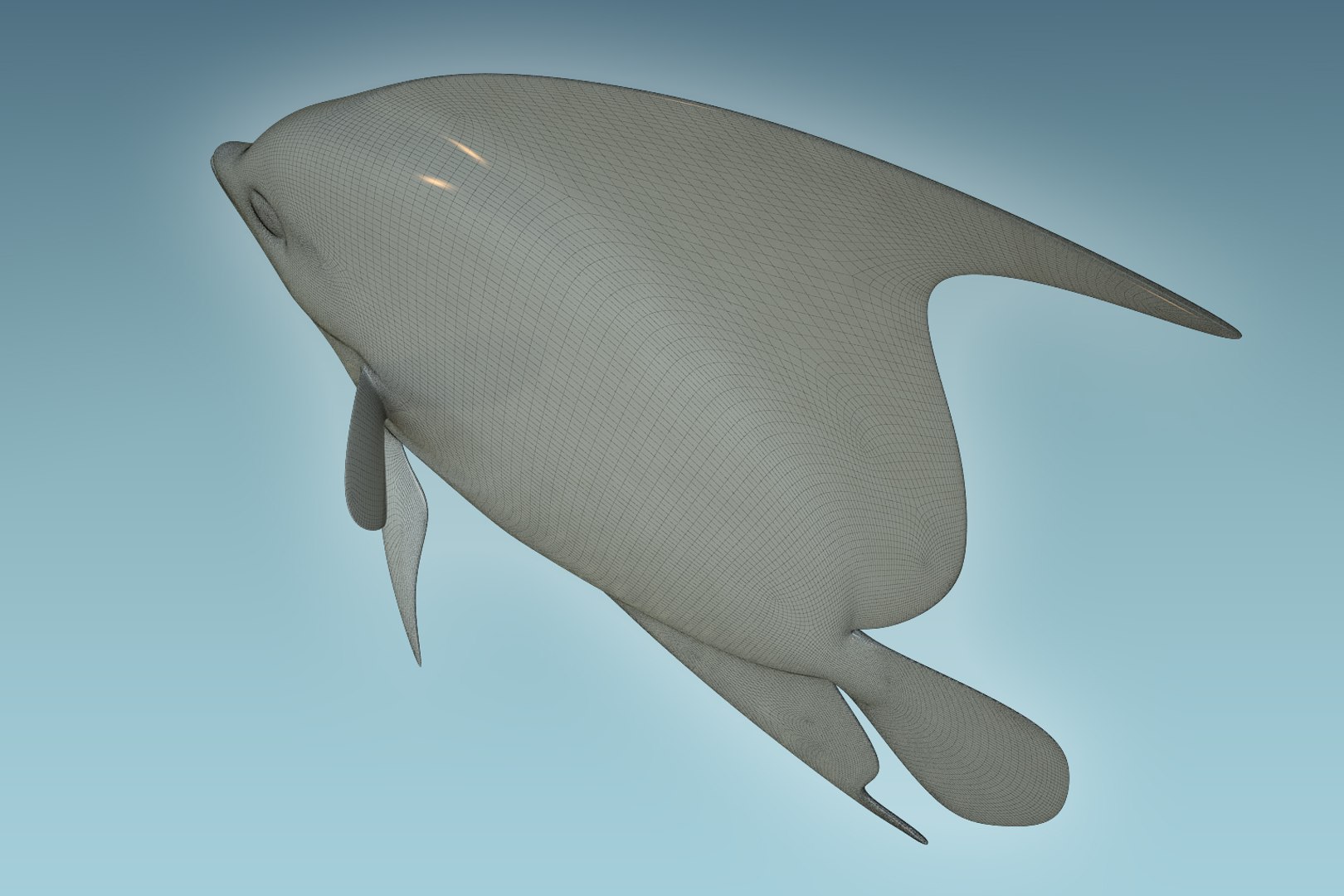 3D model anglefish 12 fish https://p.turbosquid.com/ts-thumb/v2/3xqtAn/2ntPra2o/09/jpg/1506273955/1920x1080/fit_q87/db9c1a412a666dec26ecd45bbfeb956f42eb1c1c/09.jpg